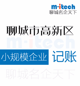 聊城高新區(qū)申請(qǐng)小規(guī)模納稅人為何不能享受小微企業(yè)的政策