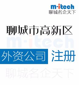 聊城高新區(qū)代辦外資公司注冊營業(yè)執(zhí)照